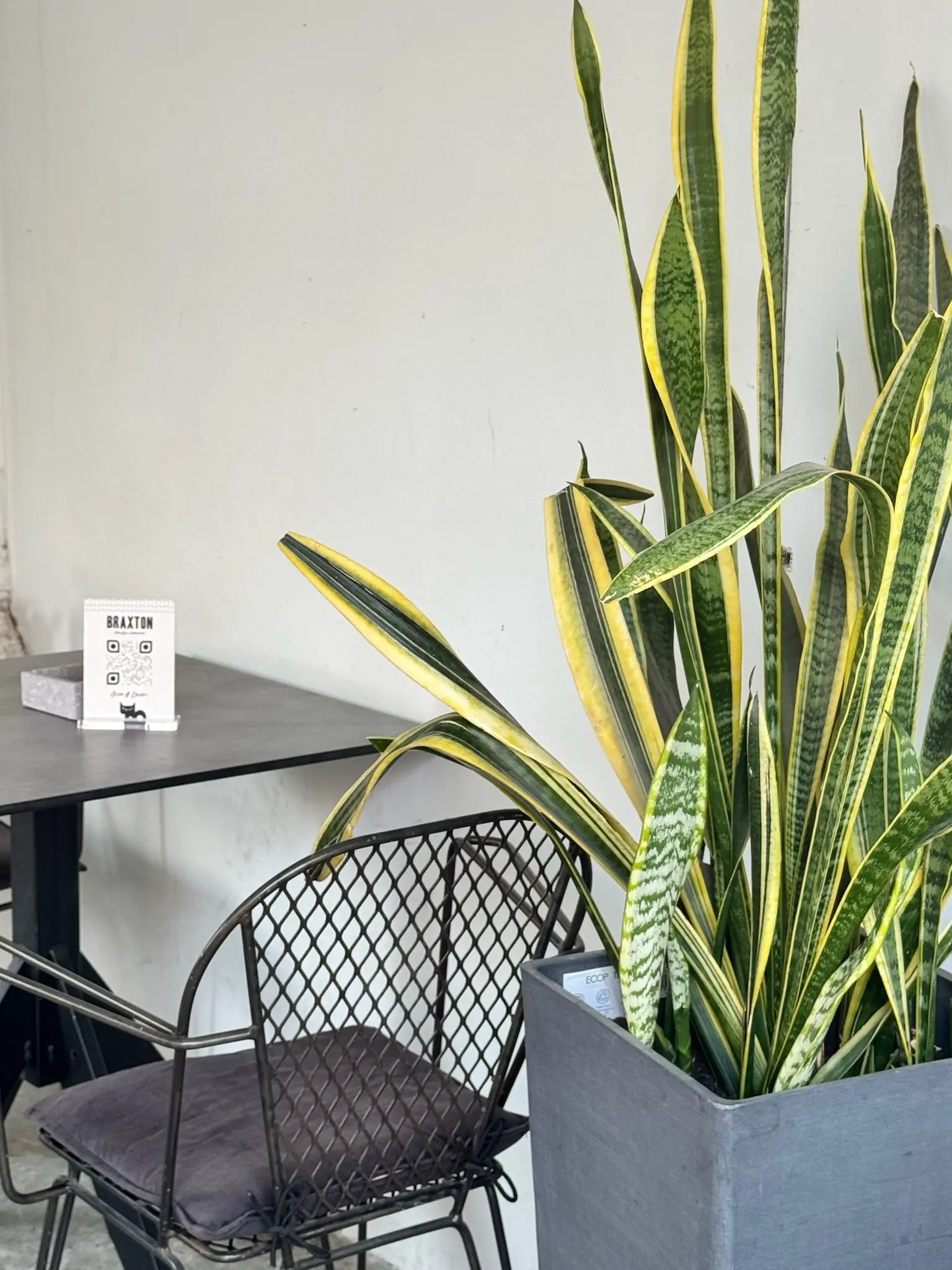 Coffee and Atmosphere